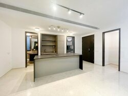 Park Colonial (D13), Condominium #456797431